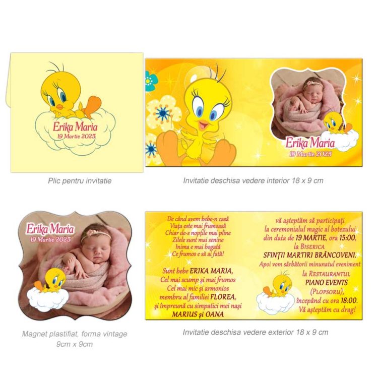 Invitatie Cu Magnet Tweety