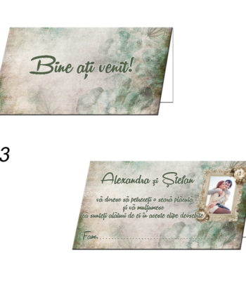 Plicuri Bani Nunta Personalizate