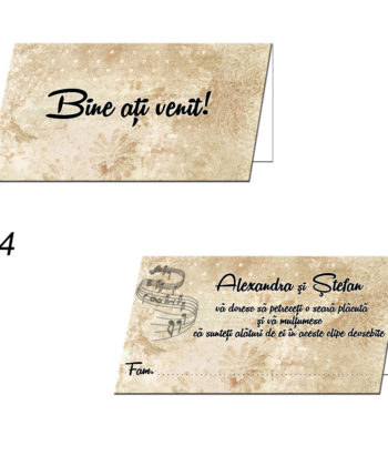 Plicuri Bani Nunta Personalizate