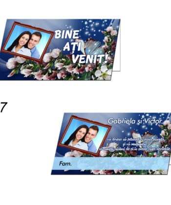 Plicuri Bani Nunta Personalizate