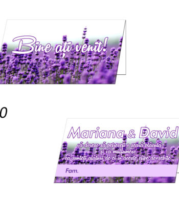 Plicuri Bani Nunta Personalizate