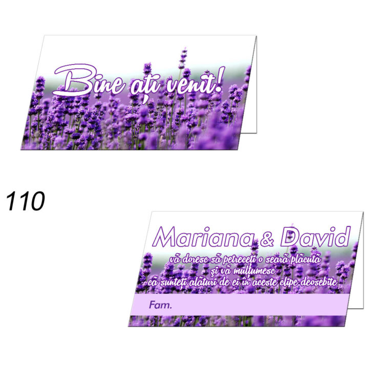Plicuri Bani Nunta Personalizate