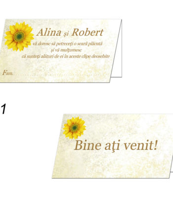 Plicuri Bani Nunta Personalizate
