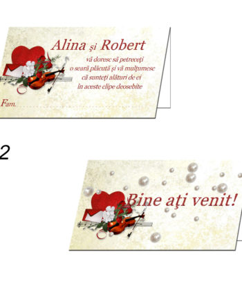 Plicuri Bani Nunta Personalizate