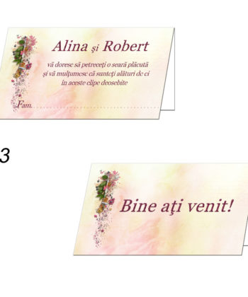Plicuri Bani Nunta Personalizate
