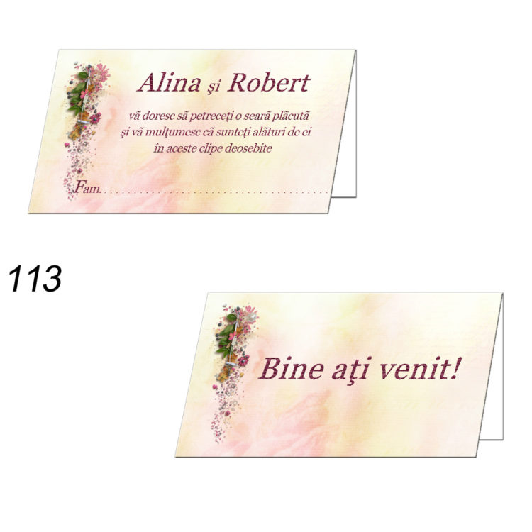 Plicuri Bani Nunta Personalizate
