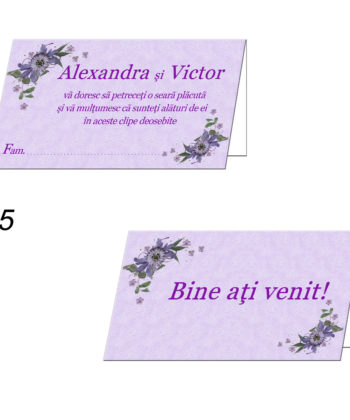 Plicuri Bani Nunta Personalizate