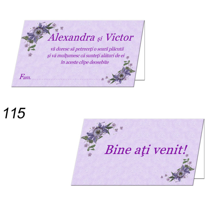 Plicuri Bani Nunta Personalizate