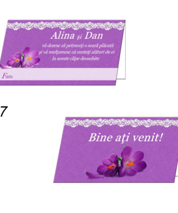 Plicuri Bani Nunta Personalizate