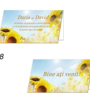 Plicuri Bani Nunta Personalizate