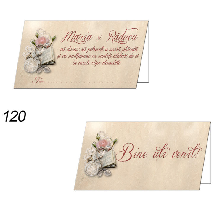 Plicuri Bani Nunta Personalizate