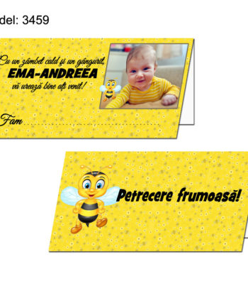 Plicuri Bani Botez Personalizate