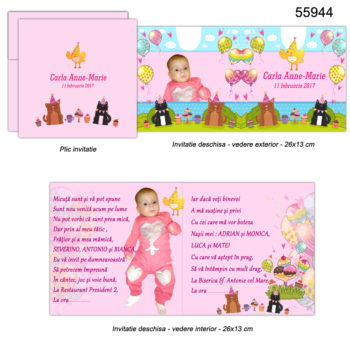 Invitatii Botez Personalizate