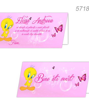 Plicuri Bani Botez Personalizate