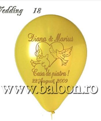Baloane Nunta