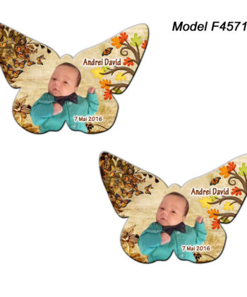 Magneti Marturii Forma Fluture