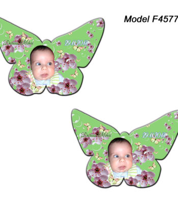 Magneti Marturii Forma Fluture