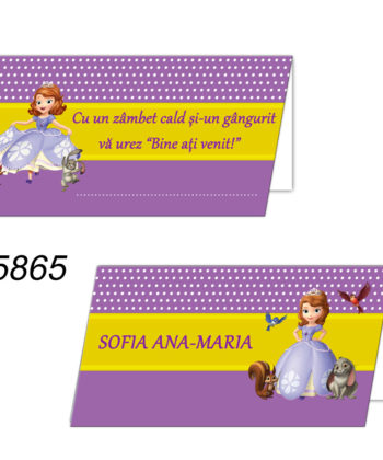 Plicuri Bani Botez Personalizate
