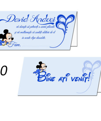 Plicuri Pentru Dar Personalizate