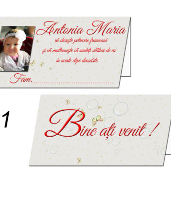Plicuri Pentru Dar Personalizate