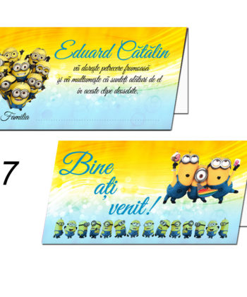 Plicuri Pentru Dar Personalizate