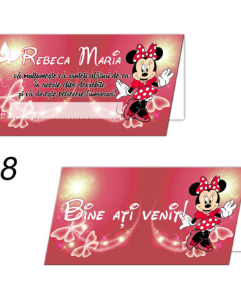 Plicuri Bani Botez Personalizate