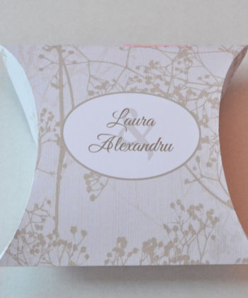 Cutiute Marturii Pillow