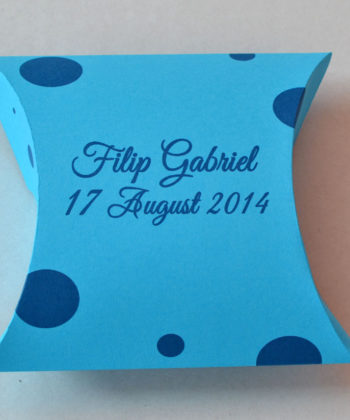 Cutiute Marturii Pillow
