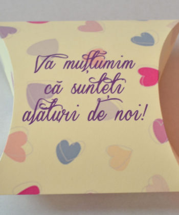 Cutiute Marturii Pillow