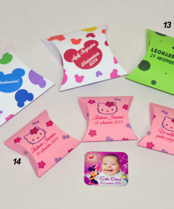Cutiute Marturii Pillow