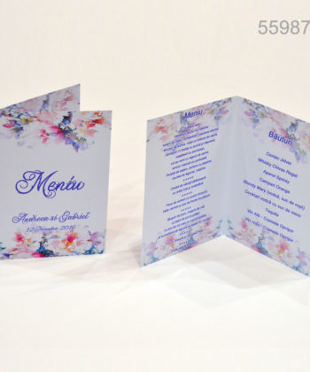 Meniuri Nunta Botez
