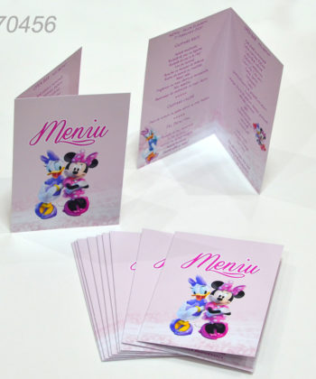 Meniuri Nunta Botez