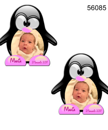 Magneti Pinguin