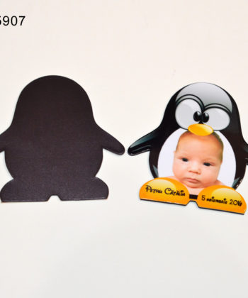 Magneti Pinguin