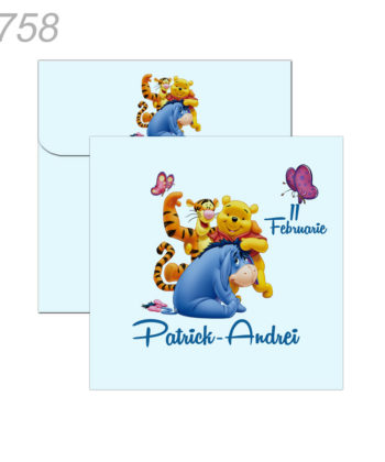 Plicuri Colorate Personalizate Pentru Magneti