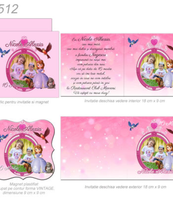 Invitatii Botez Magnetice