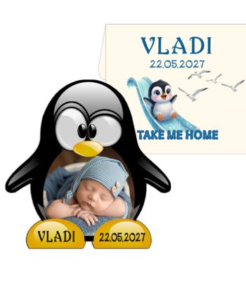 Marturii botez baieti pinguini magnet cu plic personalizat