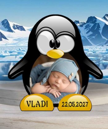 Marturii botez baieti pinguini magnet cu plic personalizat