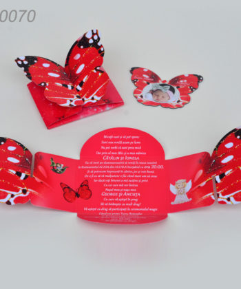 Invitatie Botez Cutie Fluture