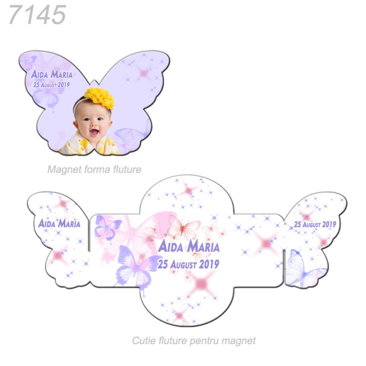 Magnet Forma Fluture In Cutie Forma Fluture