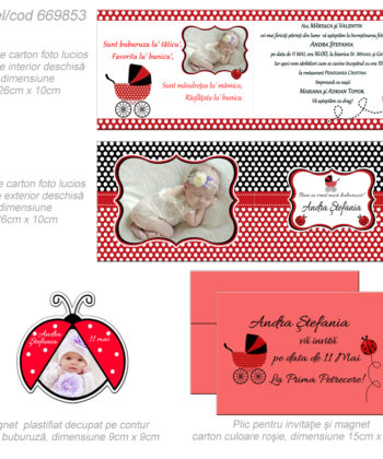 Invitatie Cu Magnet Buburuza