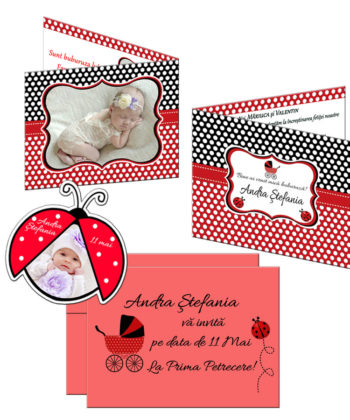 Invitatie Cu Magnet Buburuza