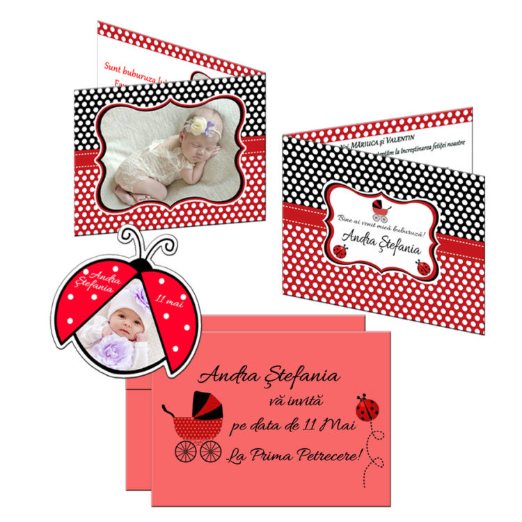 Invitatie Cu Magnet Buburuza