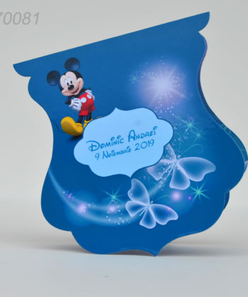 Invitatii Botez Unicate