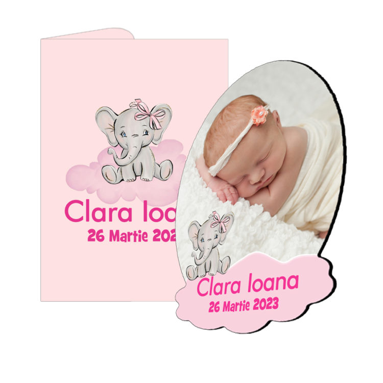 Marturie botez elefant roz