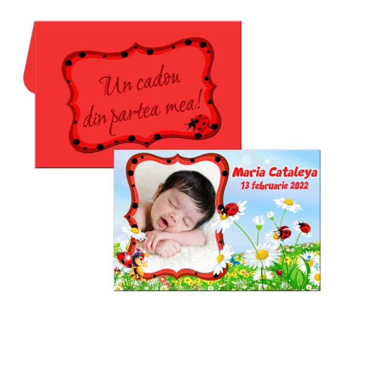 Marturii botez buburuze, magneti cu picuri incluse