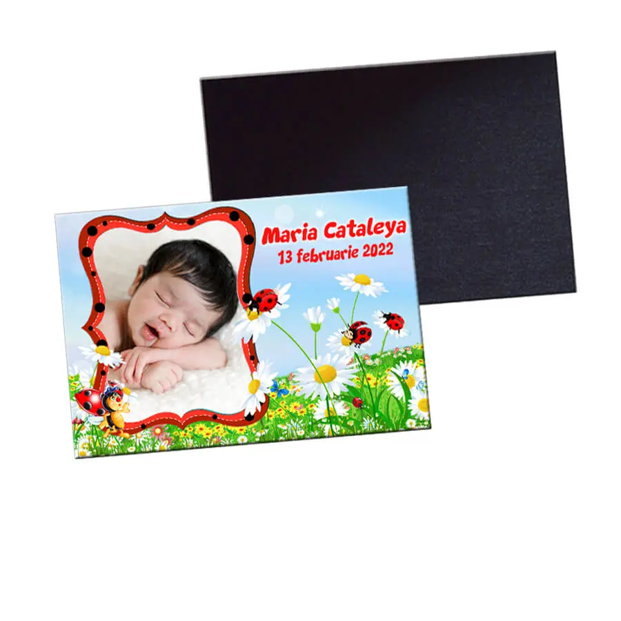 Marturii botez buburuze, magneti cu picuri incluse 3 Marturii botez buburuze, magneti cu picuri incluse