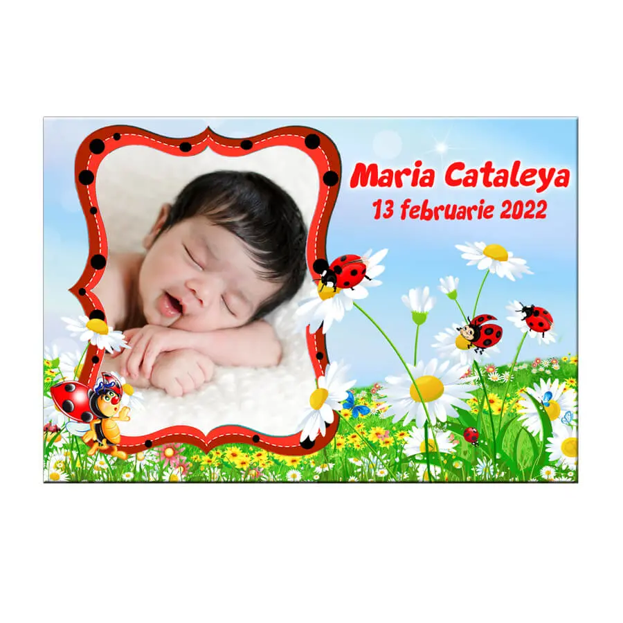 Marturii botez buburuze, magneti cu picuri incluse 2 Marturii botez buburuze, magneti cu picuri incluse