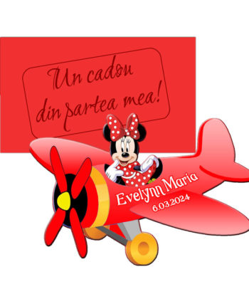 Marturii botez fete magneti avion