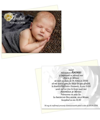 Invitatii botez trandafir alb crem